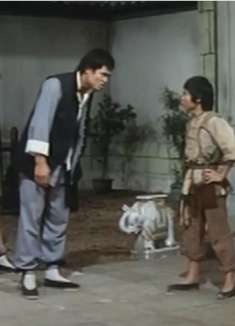 怪招:小子为姑娘打抱不平反被欺负,跟随功夫老头练功回来雪耻!