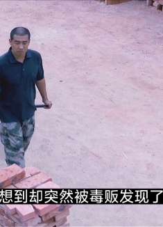 击破29:卧底发现毒贩秘密，黑老大竟决定要秘密灭口！