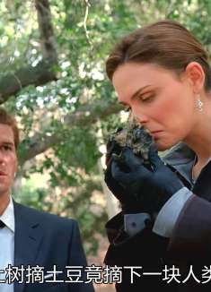 树枝上的尸骨残骸，结局让人意想不到