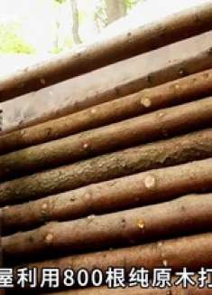 这是世界上最隐蔽的庇护所，它深藏在几米深的地下！