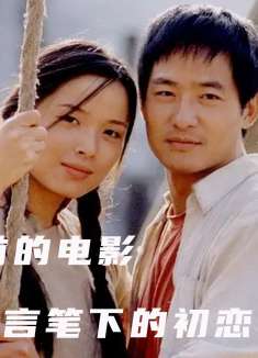 一部被严重低估的国产片，国内很多人听都没听过，在日本却成爆款