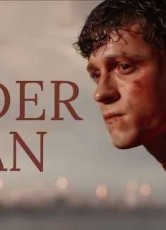 拜托，这样的小蜘蛛真的超酷的诶！