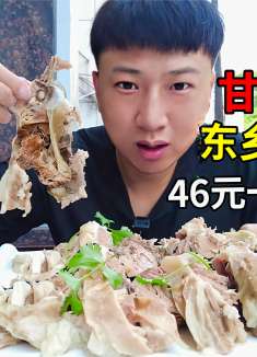 甘肃手抓羊肉，46元一斤白菜价，老板一天能轻松卖25只羊