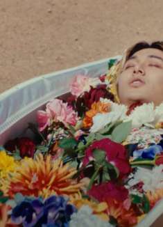 氛围感浪漫 MV，请在沙漠开满鲜花