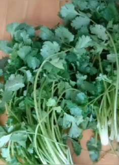 每次买很多的香菜，这样放冰箱保存，两个星期都不坏，大家都说好