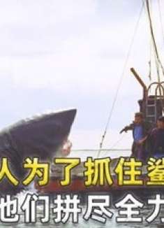 男人为了抓住鲨鱼，他们拼尽全力
