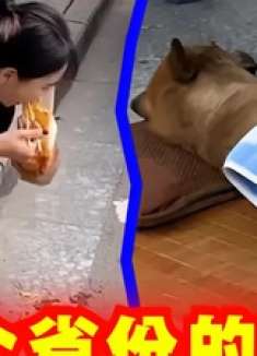 爆笑解说：你相信每个省份的人都有独有的习惯吗？ 