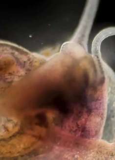 生命的「波涛汹涌」，建议戴耳机欣赏