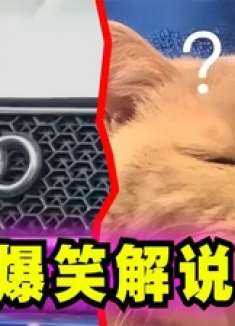 爆笑解说：有人问这是什么车，网友的回答太搞笑了！