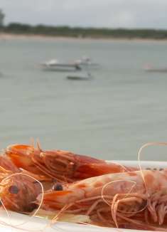 西班牙之美：油炸大虾跟葡萄酒是绝配，简直太美味了吧！