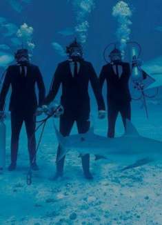 穿着西服与鲨鱼共舞