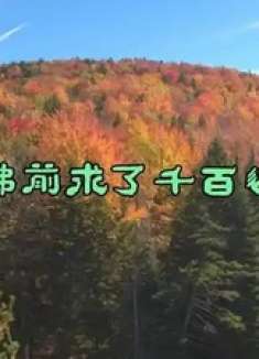 沙漠奇景，壮丽壮观