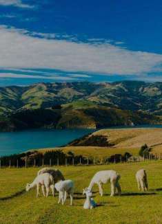 新西兰旅行短片，令人惊叹的风景