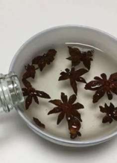 把白醋倒进八角里泡一泡，没想到作用这么厉害，解决家里困扰烦恼