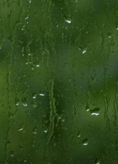 雨声深度睡眠：适合失眠者的视频