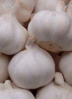 吃完大蒜嘴巴太臭？教你几招，简单更有效