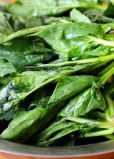 经常吃菠菜的注意，还有人不知道咋回事，记得告知家人，涨知识