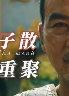 爷们信条：硬汉上线，寻找妻儿下落，他是否能战胜一切