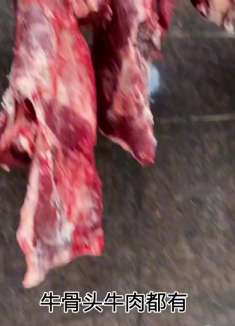 一夜之间绍兴这座城市变冷了，做一道锅仔暖暖身，儿子连吃3碗饭