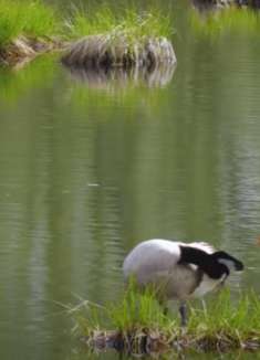 春天美景：美不胜收，让人惊叹