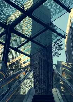 东京的最中心，优雅浪漫的代名词