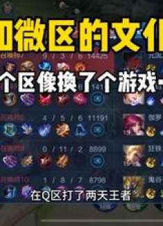 Q区的队友让我感到陌生，很多谐音字母我居然看不懂……