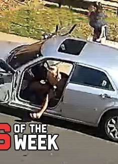 你敢相信这竟然是真实人类干出来的事？