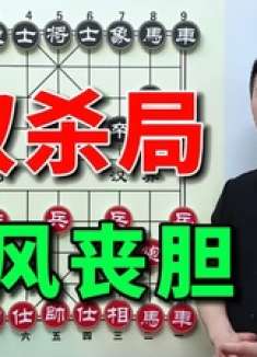 当头炮双枪手段，江湖罕见招法，一旦使出高手都闻风丧胆直呼绝妙