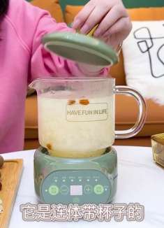 天冷了 当然得有个 养生壶 喽 煮花茶热牛奶 煮粥 一壶搞定