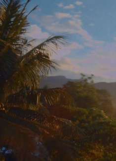 电影级 FPV 电影「乘风飞翔」