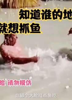 搞笑配音：勇敢鸭鸭大战捕鱼老大爷，鸭鸭的领地不打招呼就想捕鱼