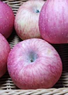 保存苹果放冰箱是大错，卖苹果老板支招，放半年依然鲜甜多汁