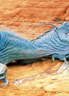 2秒完成地球生命2亿年的进化，如此强大的外星人，弱点是洗发水？