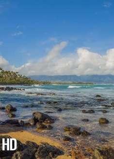 热带海滩毛伊岛，夏日避暑好去处
