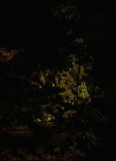 奈良灯花会：猿泽池和五十二段