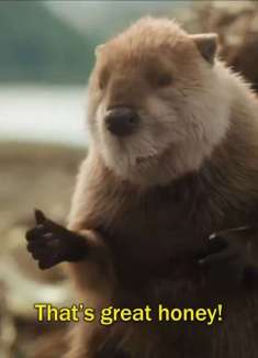 神反转广告：假如你的导购不是人