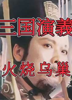 曹操采纳了许攸之计，亲率精兵火烧乌巢