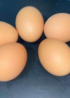 看一眼就学会的鸡蛋做法，不煮不炸，简单好吃又下饭，太香了