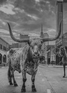 氛围感满分的时尚短片，氤氲的春日梦境