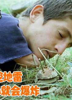 残疾男孩被炸掉双手，只能靠挖地雷为生，一不小心就会爆炸，电影