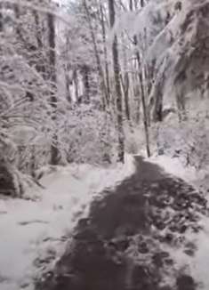 冬季风景：白雪皑皑，让人陶醉