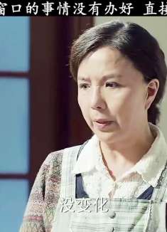 书记因为窗口的事情没有办好直接惹大麻烦