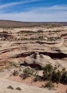 暗夜公园：犹他州的闪耀明星