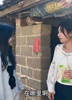 子怡匆匆忙忙找大姐，还以为出什么事，结果大姐傻眼了！