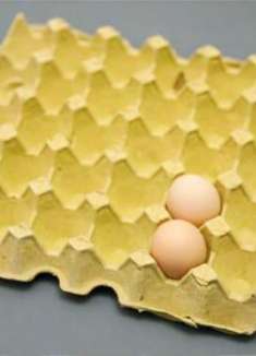 才清楚，鸡蛋托盘是个“宝”，放在阳台作用超棒，看完回家找找