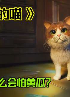 猫咪为什么会被黄瓜吓到？看完之后你会找到答案！