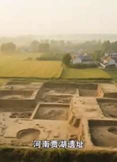 河南贾湖遗址惊现8000年前木棺,中国丧葬史再改写!