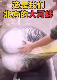 南北方大比拼,还是南方厉害