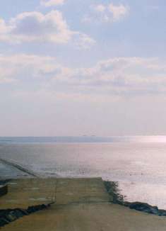 孟秋日记，凉风抚过时一场金黄色惬意的梦