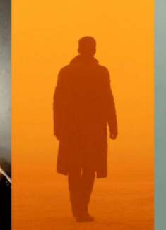 奥斯卡最佳摄影，罗杰·迪金斯的光影之梦